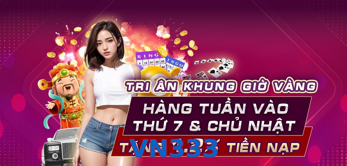 VN333