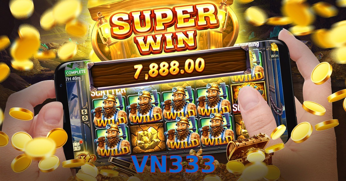 VN333