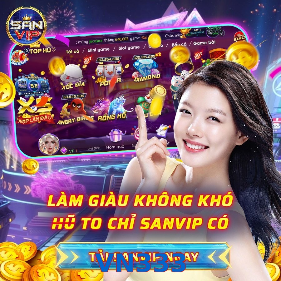 VN333