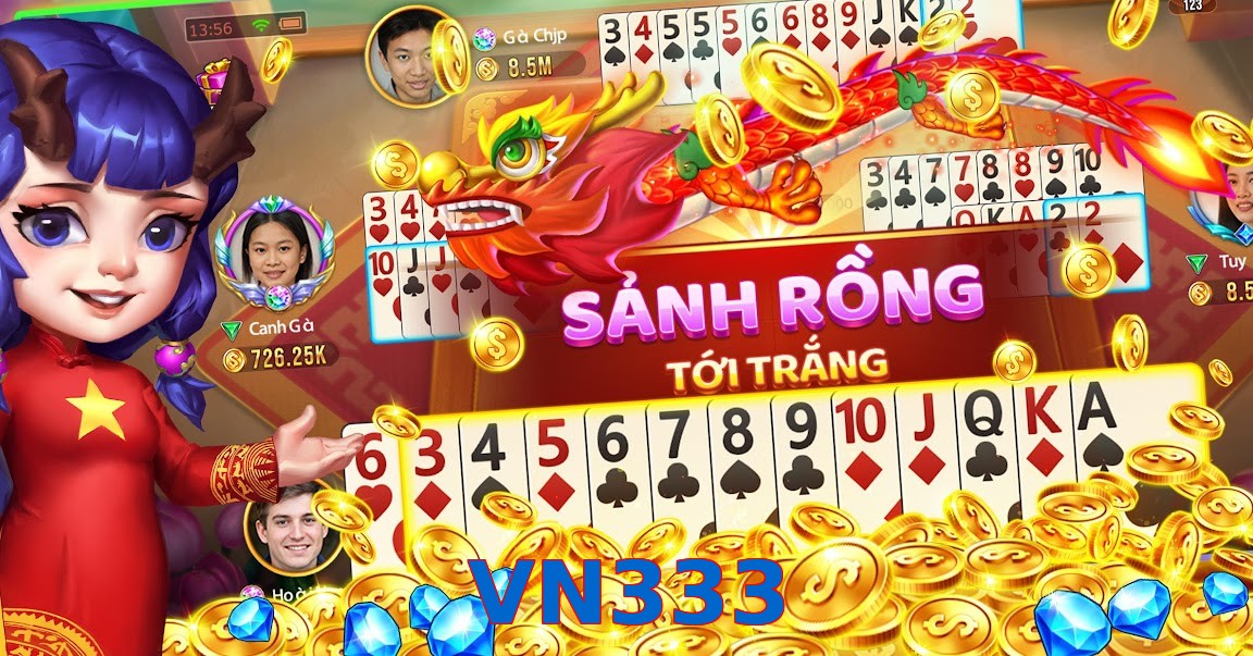 VN333
