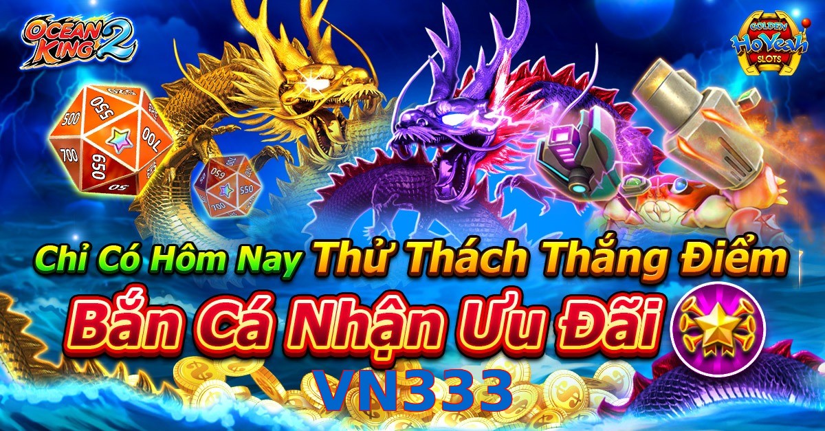 VN333