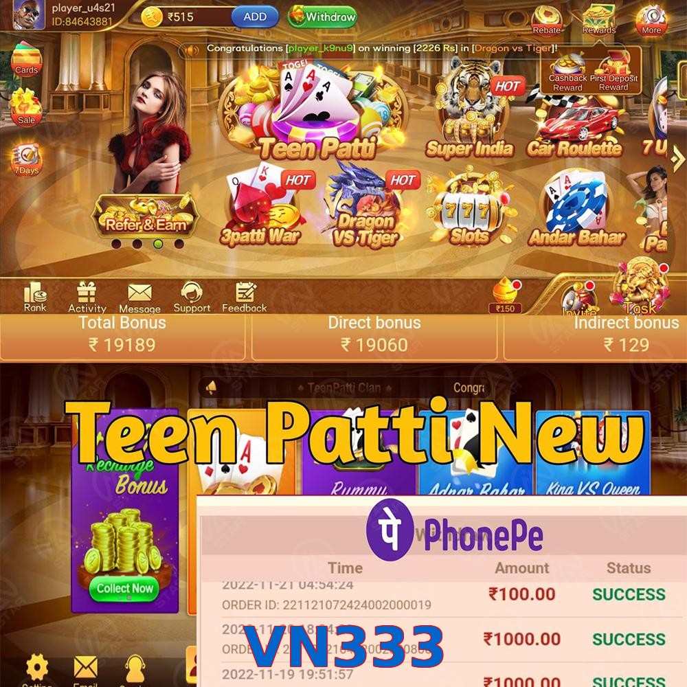 VN333