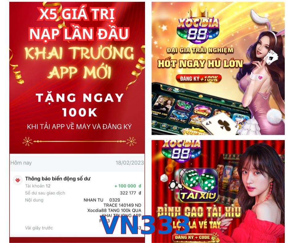 VN333