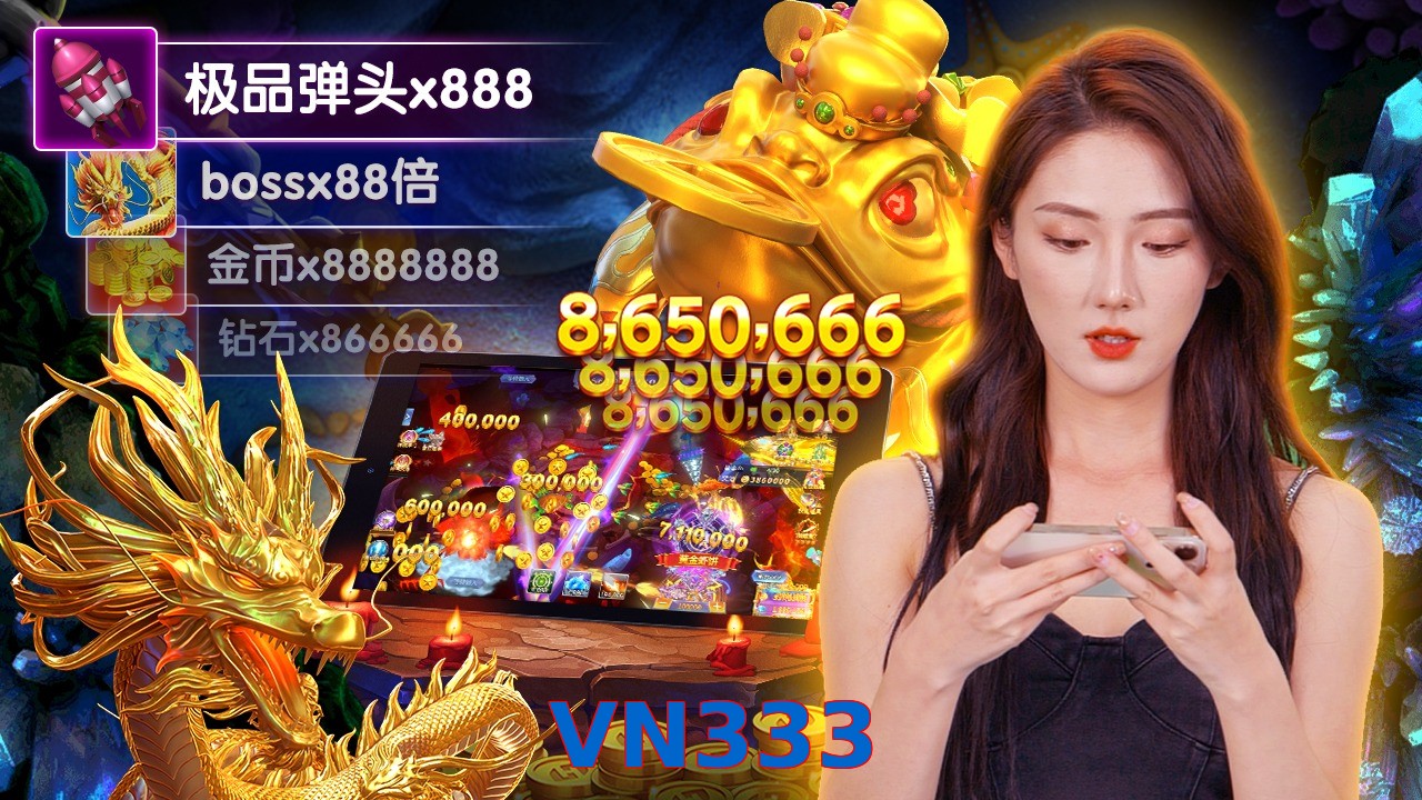 VN333